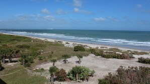 Een strand met een zandstrand, begroeiing en een helderblauwe lucht.