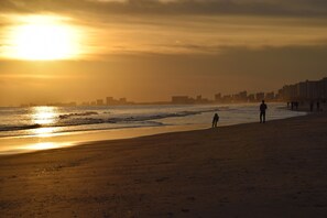 Playa en los alrededores 