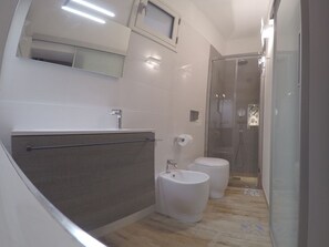 Shower, hair dryer, bidet, towels