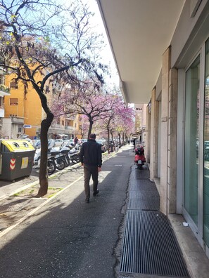 Stroll along the tree-lined pathway to the entrance of this building, featuring large windows and a flat roof.