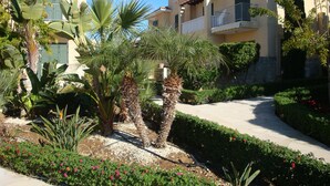 Zona residencial con un sendero, palmeras y un edificio con balcón.