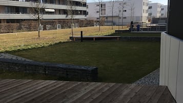 Terras