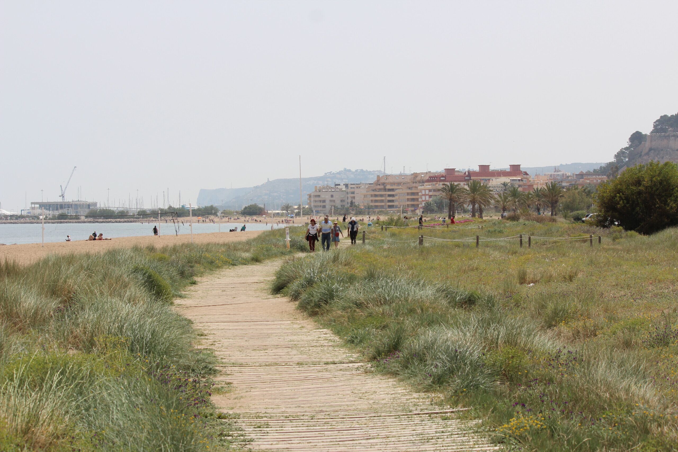 A coastal path leading to a beach with people walking and sitting.