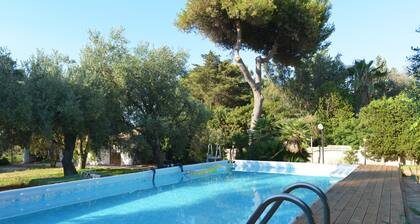 Villa in dream location with private pool right by the sea