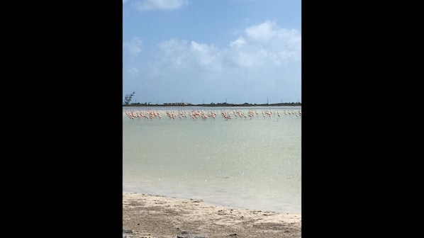 Beach towels