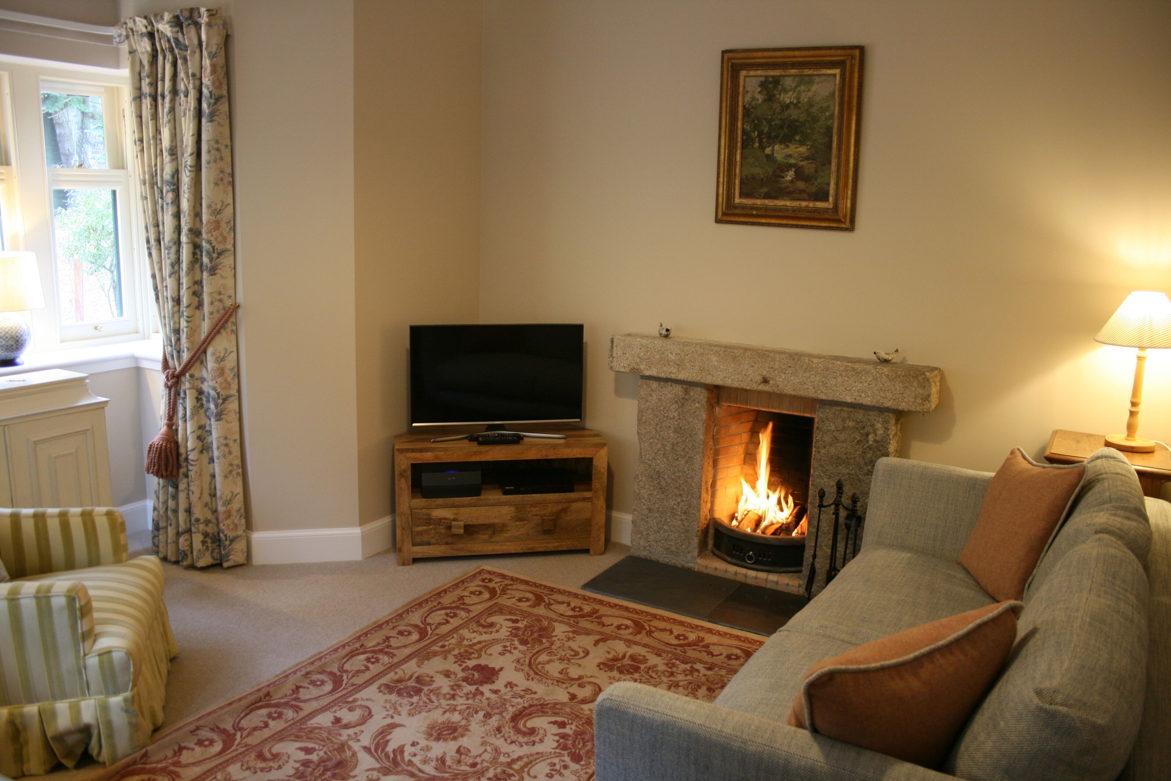 Una televisión, una chimenea, un reproductor de DVD, libros