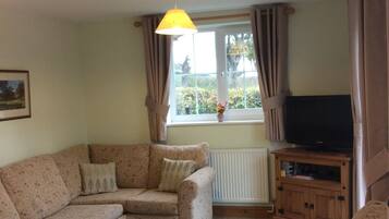 TV, DVD player, table football, books