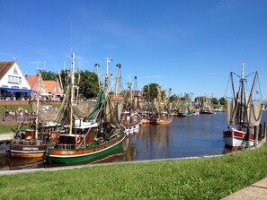 Ein Yachthafen mit mehreren angedockten Booten, eine Rasenfläche im Vordergrund und Gebäude im Hintergrund.