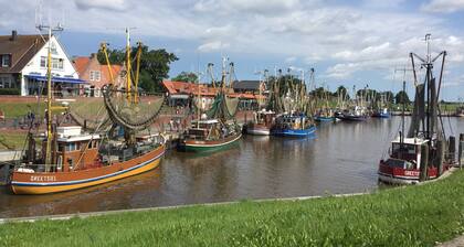 freistehendes Haus mit großem Garten und Spielplatz, bis 8P, zur Nordsee 2km