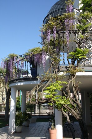 A building with a circular dome, white columns, and a balcony with purple wisteria. - B&B Villa il Glicine (Porto Mantovano)