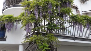A building with a white exterior, a balcony with purple wisteria vines, and a covered outdoor seating area. - B&B Villa il Glicine (Porto Mantovano)