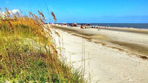 Ein Strand mit Sand, Gras und einem strahlend blauen Himmel.