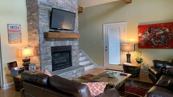 Télévision, cheminée, jeux vidéo, lecteur de DVD