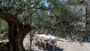 Un espace de restauration en plein air avec une table et des chaises, entouré d’oliviers et avec un bâtiment en arrière-plan.