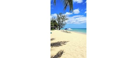 Sun loungers, beach towels