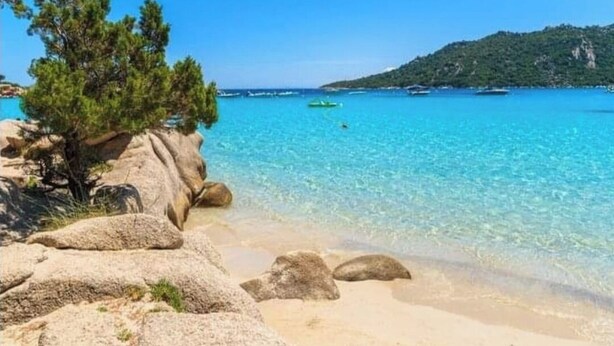 A beach with clear turquoise water, large rocks, and a pine tree. - APARTMENT T3 PROCHE PINARELLO VUE AIGUILLES BAVELLA - SWIMMING POOL AND SPA (sainte-lucie de porto-vecchio)