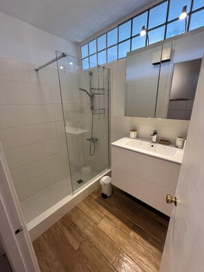 Shower, hair dryer