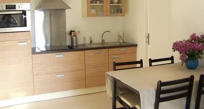 DETACHED APARTMENT IN ANNECY'S HISTORICAL CENTER WITH PRIVATE GARDEN