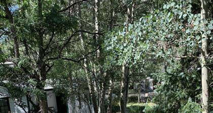 Cozy1890's Bungalow in Historic Georgetown. Ski Nearby.