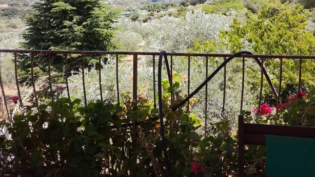 Ein Balkon mit Blick auf eine gebirgige Landschaft, einen Baum und einige blühende Pflanzen.