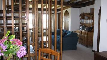 Smart TV, fireplace, DVD player, books