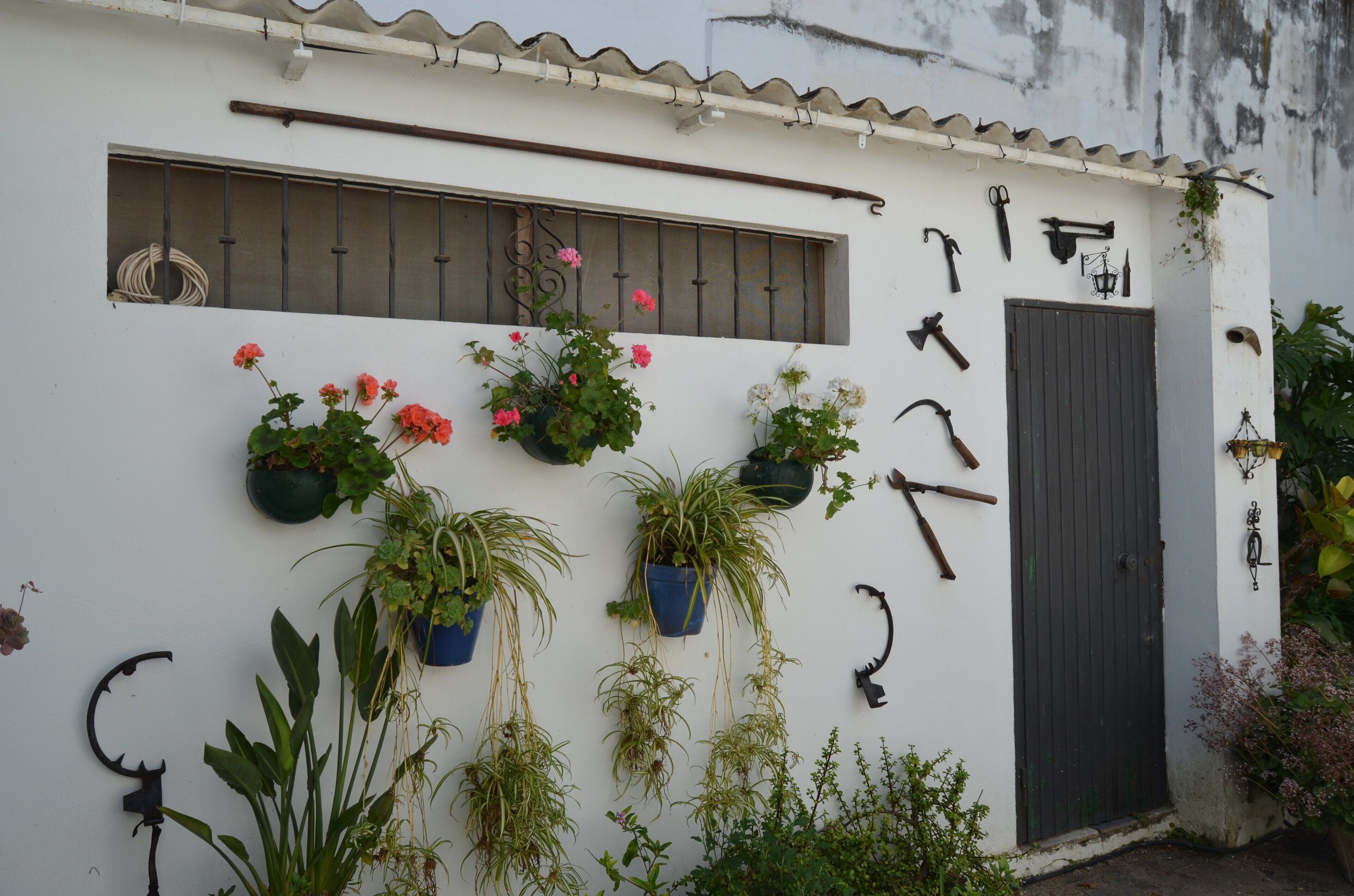 A white building with a window, a door, and various plants and tools hanging on the wall.