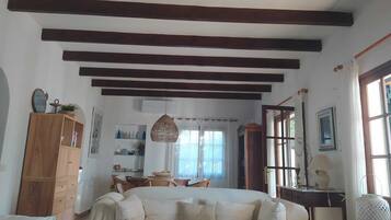 TV, fireplace, DVD player, books