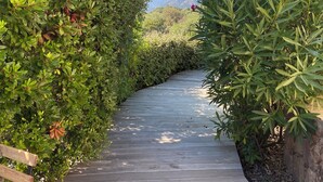 Un sendero de madera bordeado por abundante follaje verde y un cielo azul despejado.