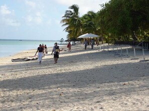 Playa en los alrededores 
