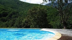 Una piscina con borde curvo, rodeada por una terraza de madera, frente a exuberantes colinas verdes.