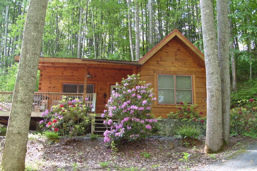 Moose Crossing Log Cabins, Waynesville N C 1/2 mile to Blue Ridge Pkwy.