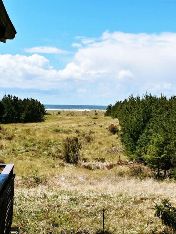 A view of a grassy field with a forested area and a body of water in the distance. - B & J Sea View | Secluded Klipson Beach Area (Long Beach)