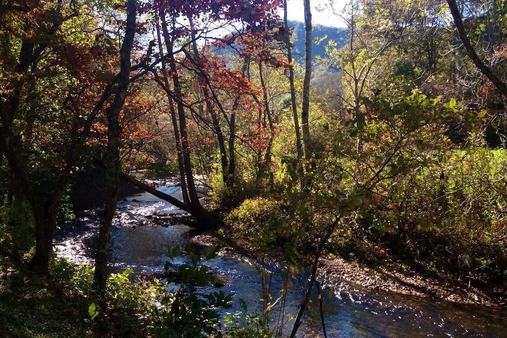 Smoky Mountain Creek Front Privacy