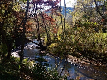 Fall view from the cabin