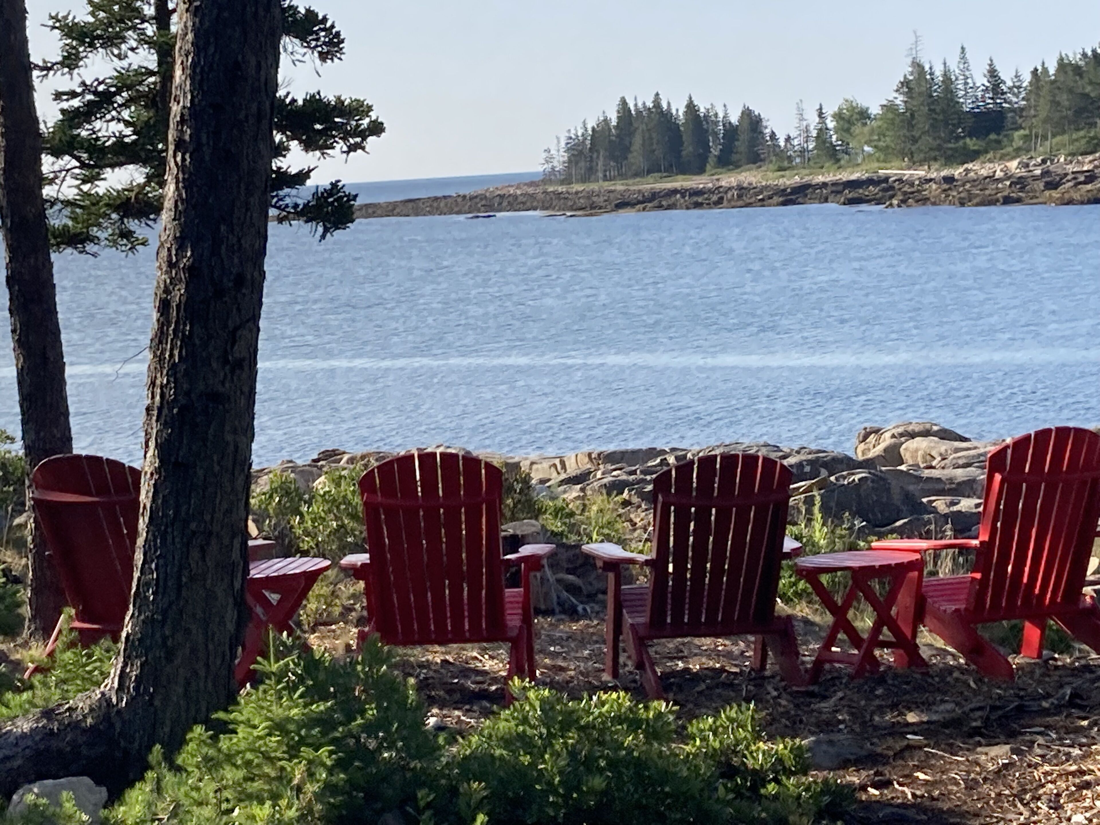 Ocean Front Cottage On Quiet Birch Harbor 