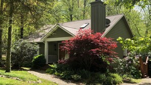 Une maison dotée d’un porche, entourée d’un jardin où poussent différentes plantes et un arbuste à fleurs rouges.
