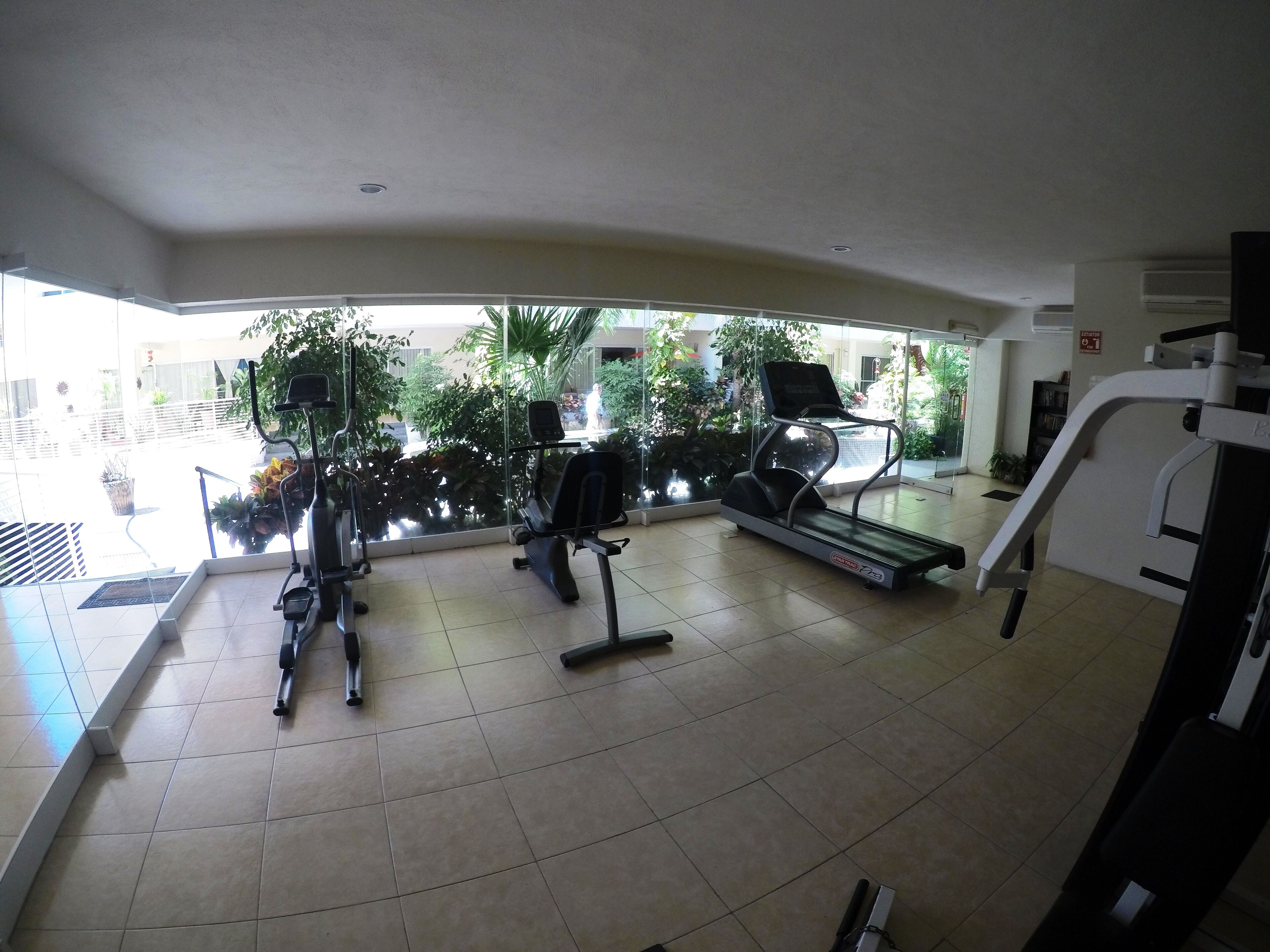 A gym with treadmills and exercise bikes, large windows with a view of greenery outside.