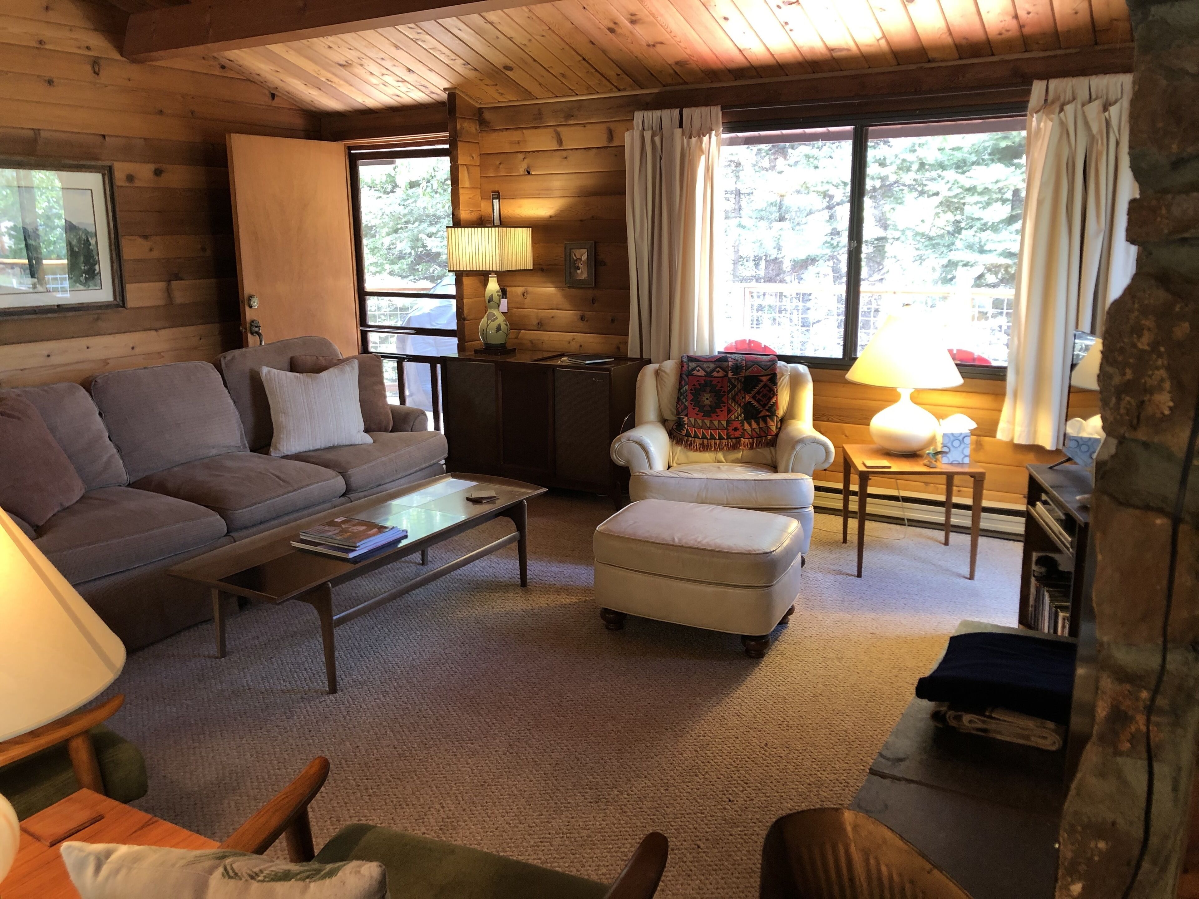 Cabin Nestled in Pines-Valley View, Mtn Trails, Cucharas River