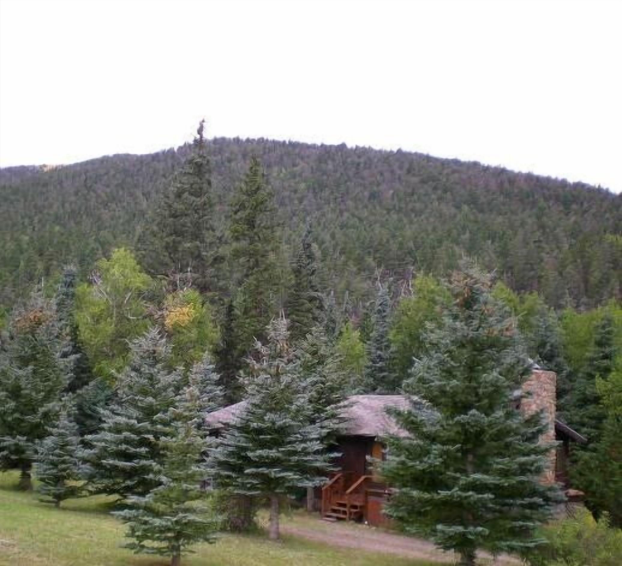 Cabin Nestled in Pines-Valley View, Mtn Trails, Cucharas River