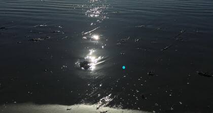 2 Beach Coastal Cottage