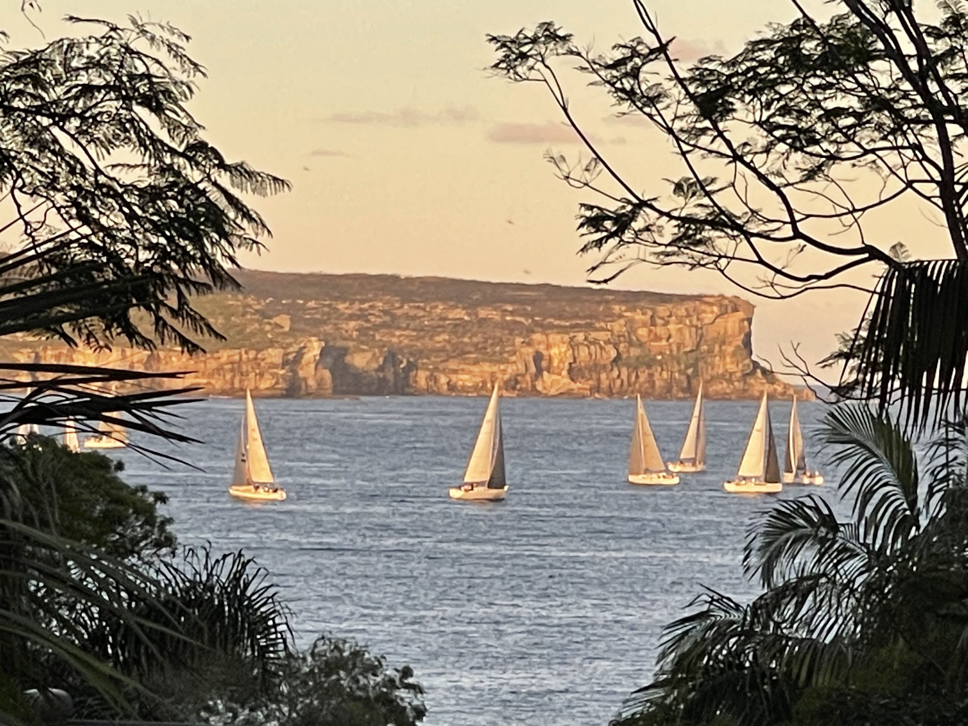 Balmoral Beach Luxury (new)  15% disc applied — image 27