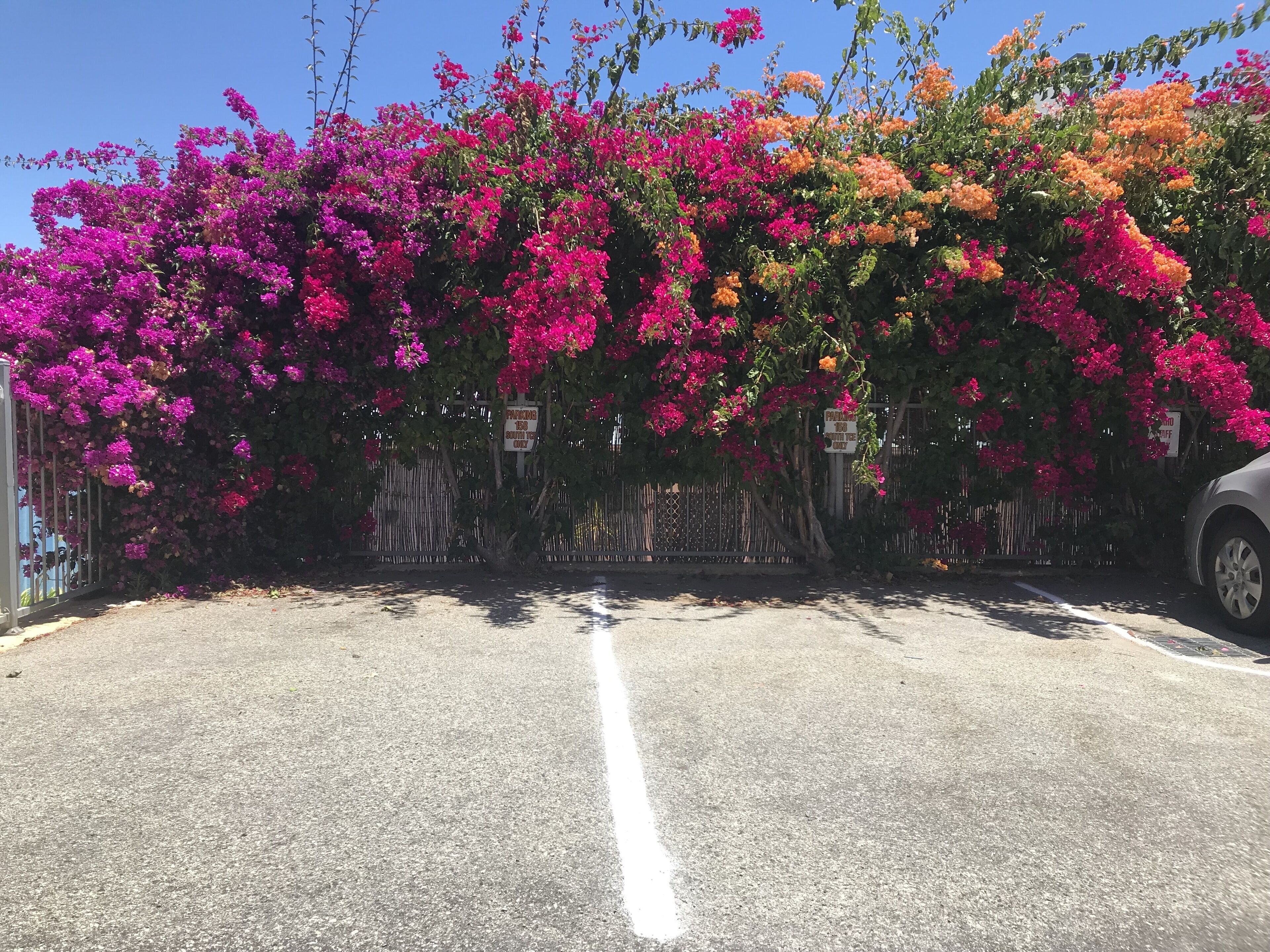 The Terrace Fremantle — image 27