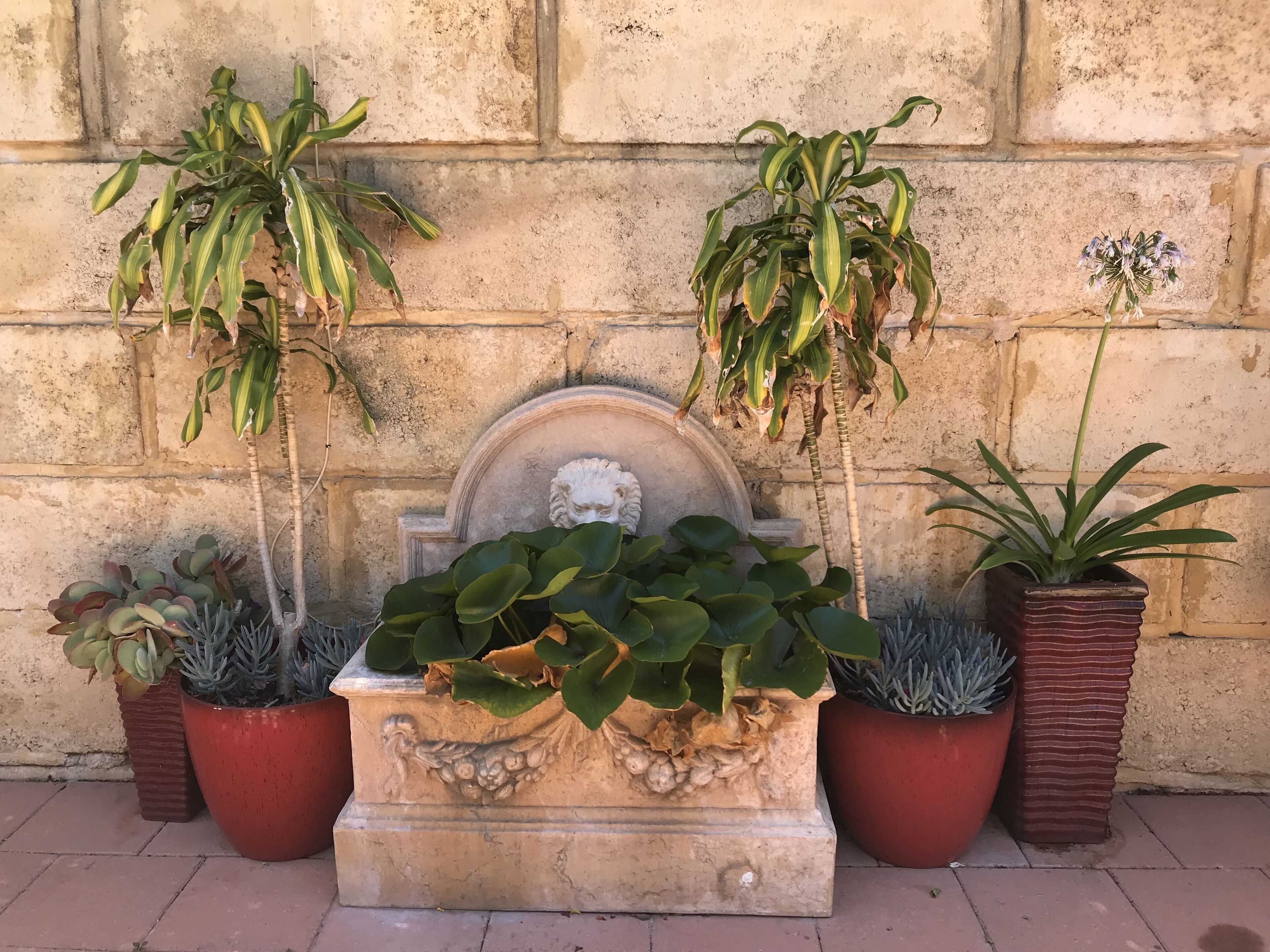 The Terrace Fremantle — image 3