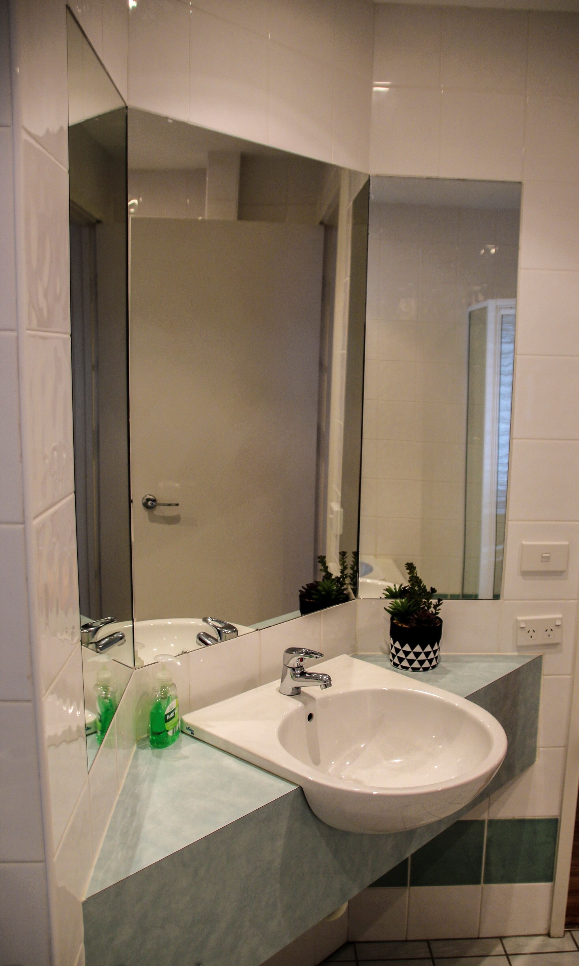 Une salle de bain avec un lavabo blanc, un grand miroir et une plante en pot posée sur le comptoir.