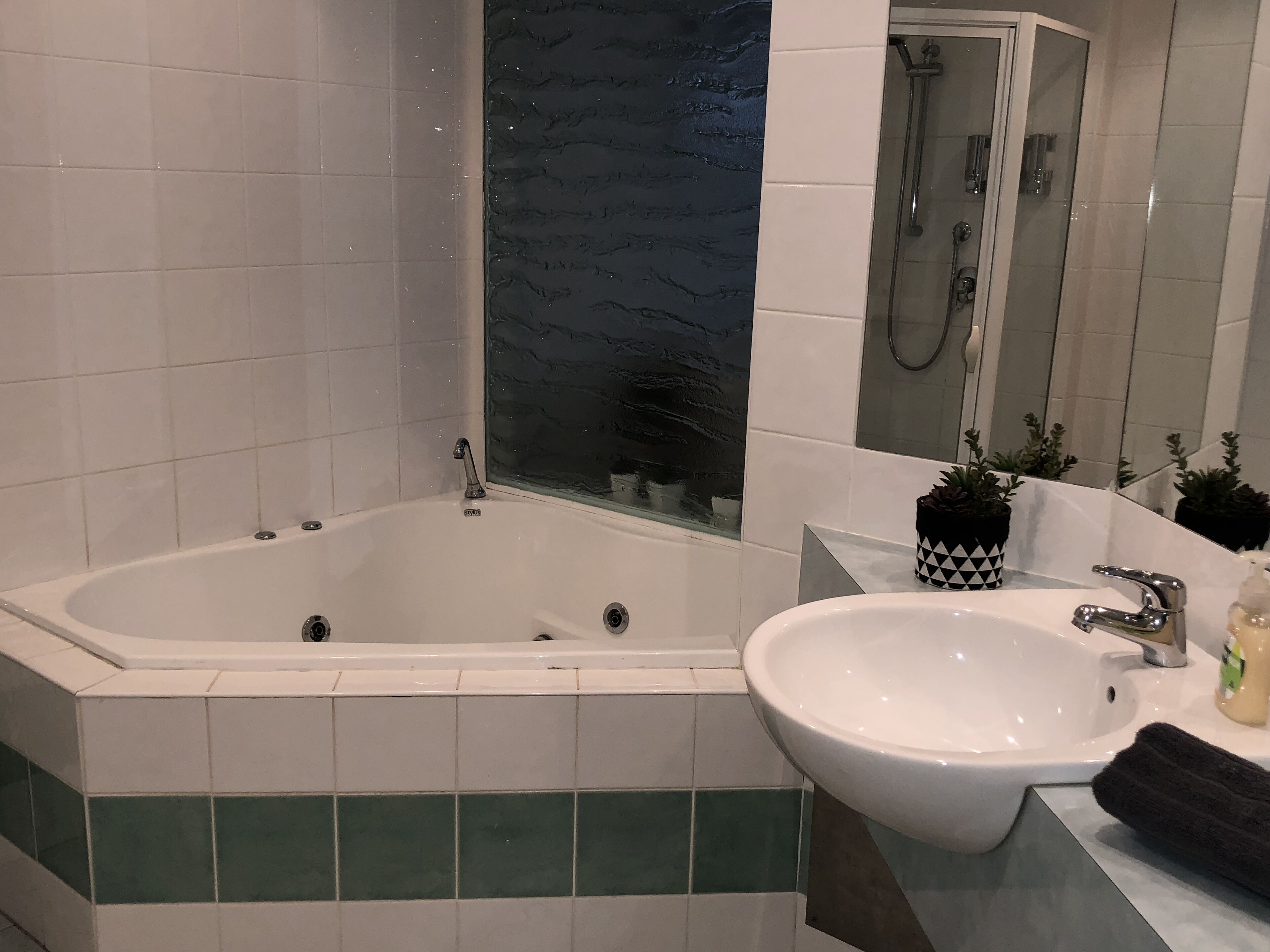 Shower, jetted bath, hair dryer, towels