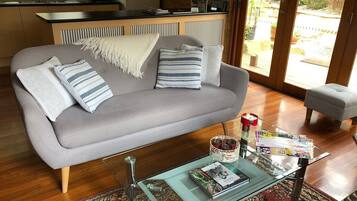 TV connectée, cheminée, lecteur de DVD, vidéothÚque