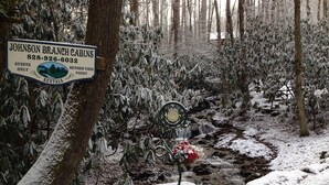 A sign for Johnson Branch Cabins rentals with a contact number. - WIFI, HOT TUB, ~A/C~, SMART TV IN BD. FIRE PIT BY THE CREEK, 2 MIN TO MAGGIE (Maggie Valley)