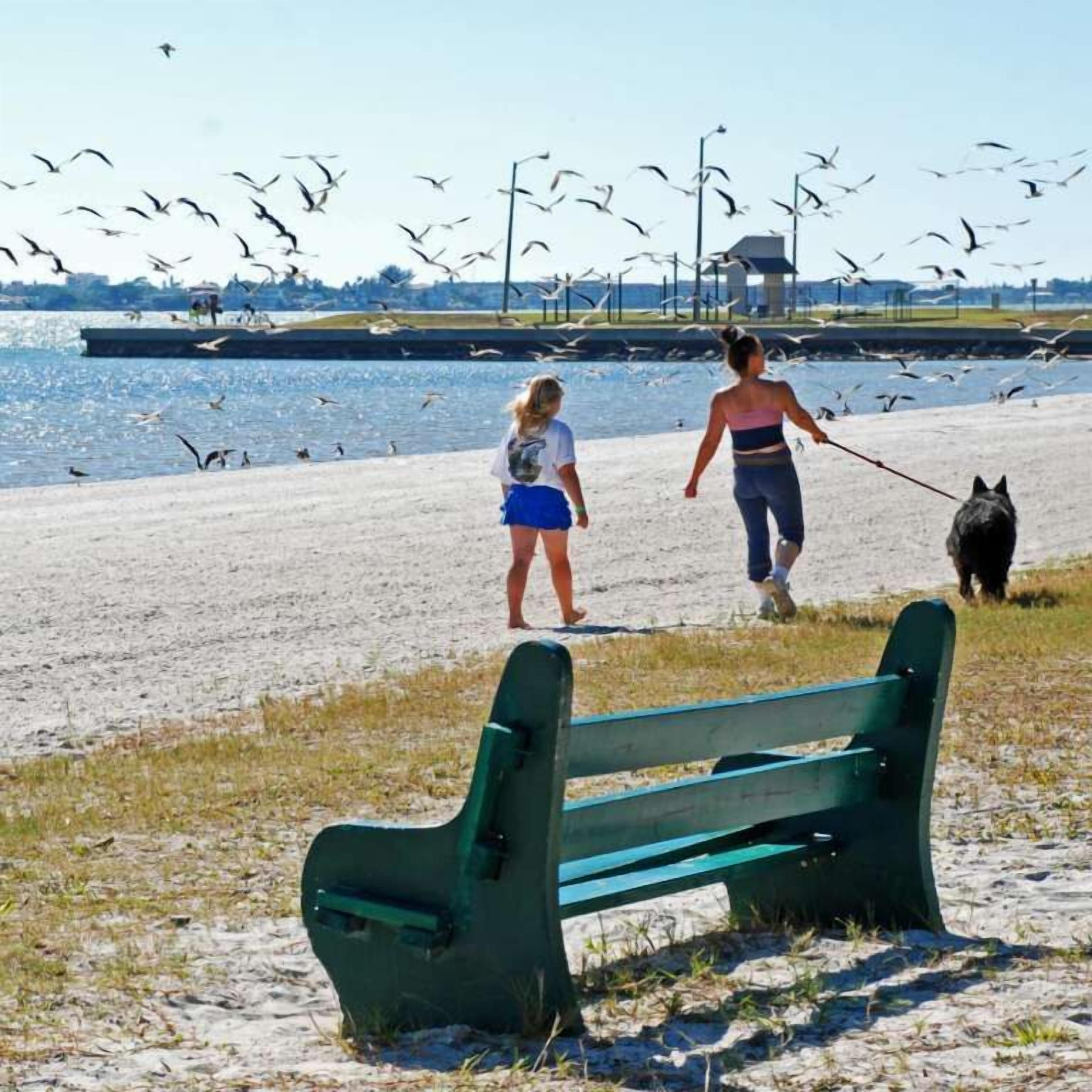 Ranta lähistöllä, aurinkotuoleja, rantapyyhkeitä