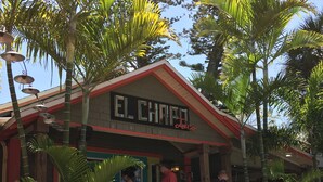 Een restaurant genaamd 'El Chapa Taco' met een rode en witte gevel, omringd door palmbomen en plantenpotten.