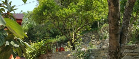 Parco della struttura
